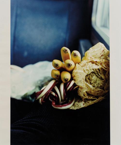 WOLFGANG TILLMANS (Remscheid, 1986), Carciofo II, C- Print